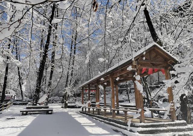 2026马年限时免费丨零门票丨西安及周边景区免票活动来啦~
