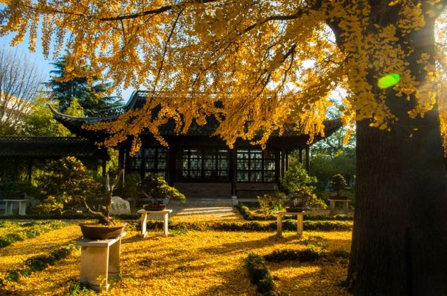 扬州冬始，园林私语