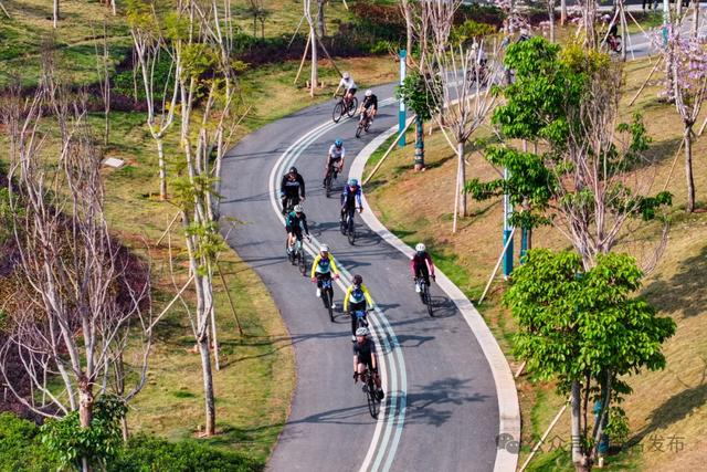 “山水信宜”精品骑行路线入选2025“中国骑行地图”!快来打卡 →