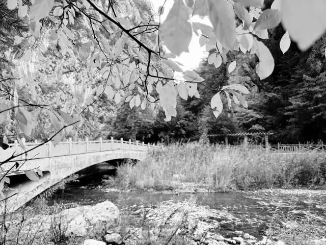 去捕捉秋的痕迹，一键点亮贵清山遮阳山景区的秋天！