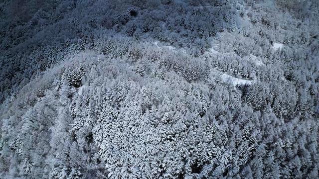 雪落江源！长白山下的水墨烟火夜