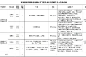 6人！芜湖这家国企招聘正式员工图片