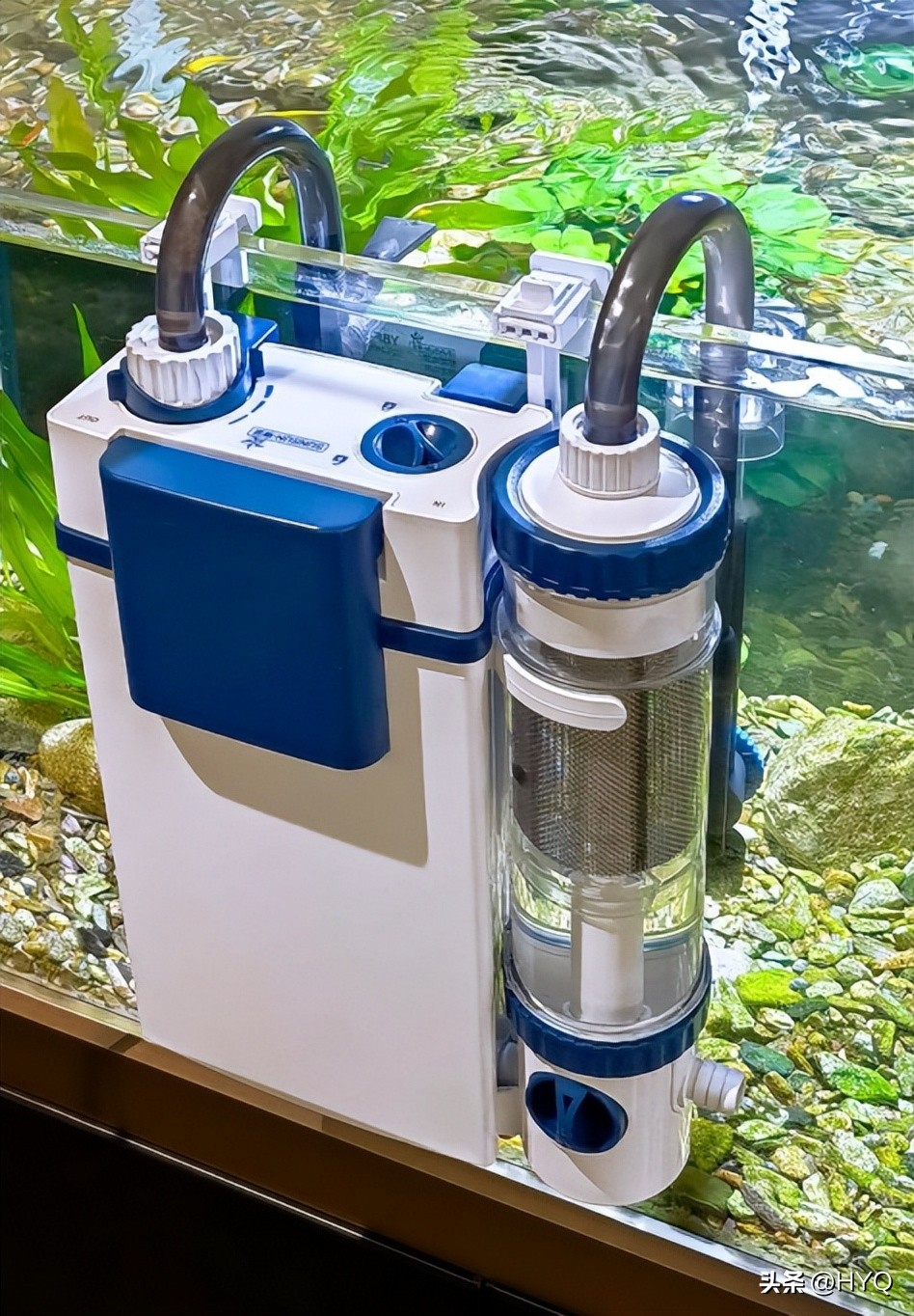 外置式过滤系统推荐_龙鱼鱼缸过滤及才料_小型鱼缸过滤系统