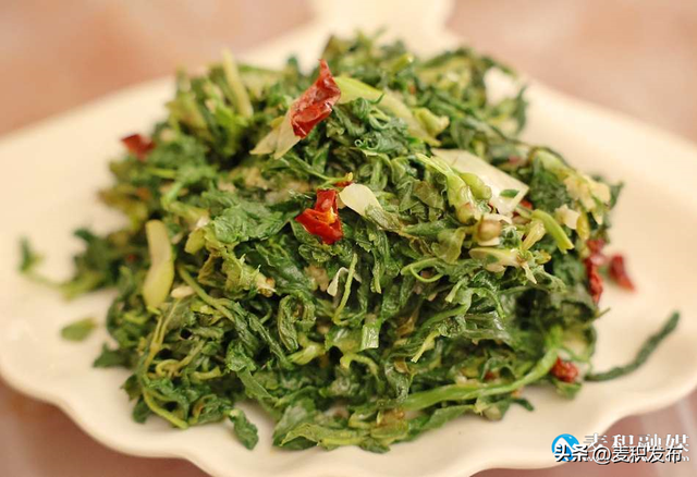 【多彩“双节” 畅游麦积】“双节”趣玩麦积镇后川村！山水、美食、烟火气全都藏在这→