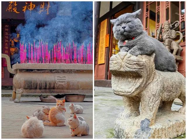 财神发源地游记