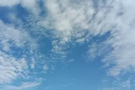 年终绩效奖金的发放与退回：发放可能会久拖，但退回却不可能拖久图片