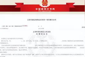贵州一男子在“P站视频”上传345段淫秽视频获利393元，一审判了图片
