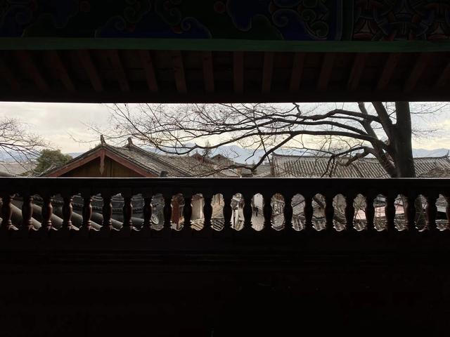 云南放大招!380万人旅居后,要把“过客”变“家人”?