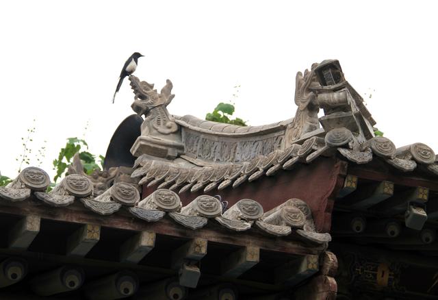 走马太原县·太原