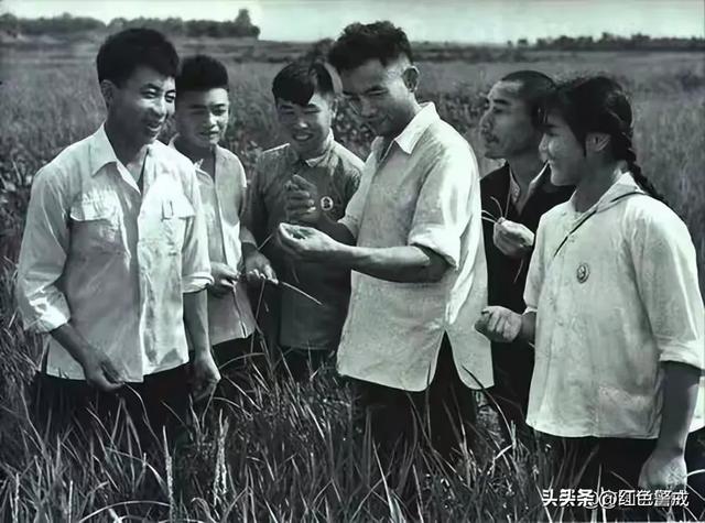 她从大队书记到中央候补委员，84年被开除党籍，退休后住进深山中
