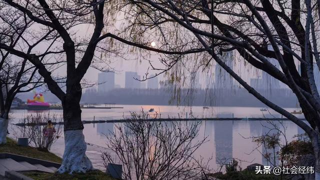 每日一景|冬日玄武湖景色