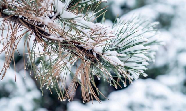 今年立春凌晨4:02	，过年前后真会冷到跺脚？老辈人这话信不信由你