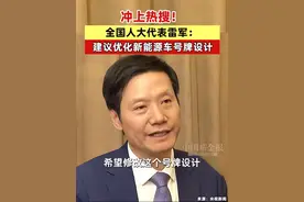 雷军都忍不了绿牌？盘点上海车牌“进化史”，你见过哪几种？图片