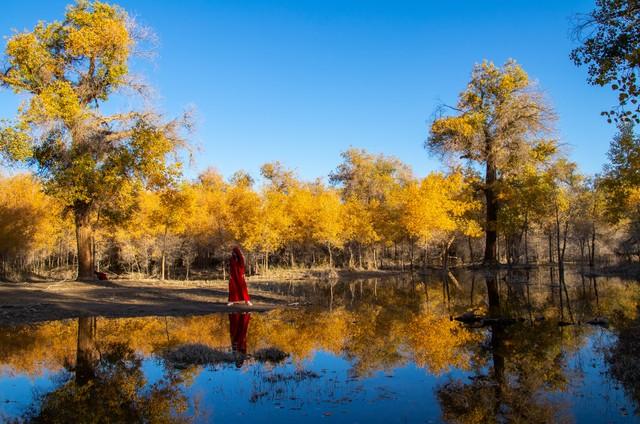 断航不扫秋兴！5个国内"熟透秋景"平替日本，规模颜值双碾压！