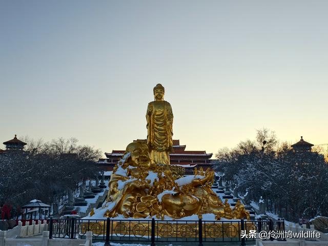 新疆乌鲁木齐红光山大佛寺