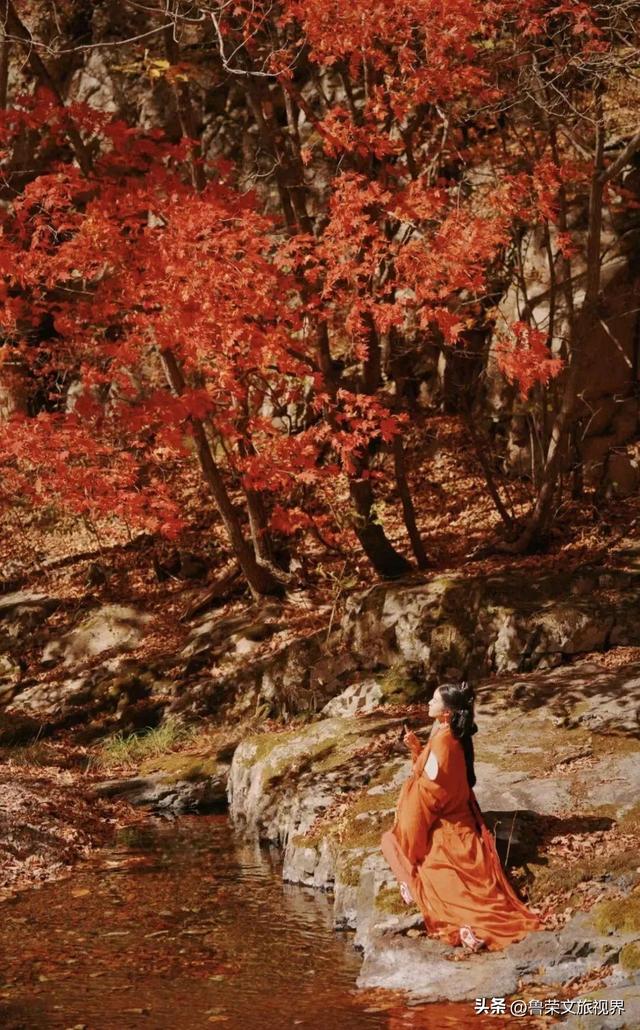 本溪：北国红枫深处的诗意秘境