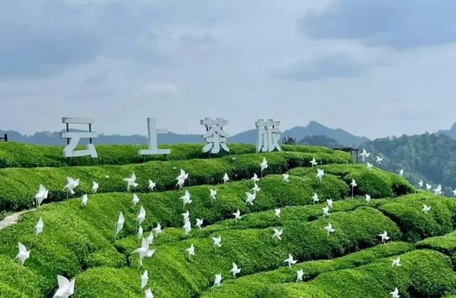 免票！半价！凭电影频道M榜门票，解锁宜昌景区优惠！