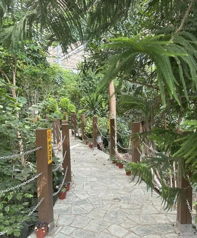 这个夏天，带娃去金昌“闯关”