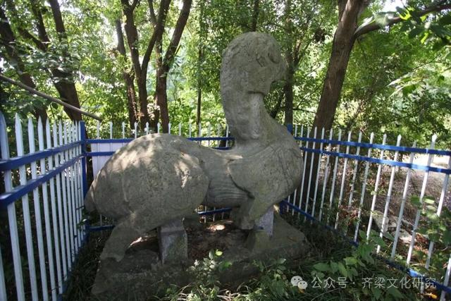 丹阳齐梁石刻实地踏勘纪实·丹北镇篇·金王陈南齐失名陵石刻