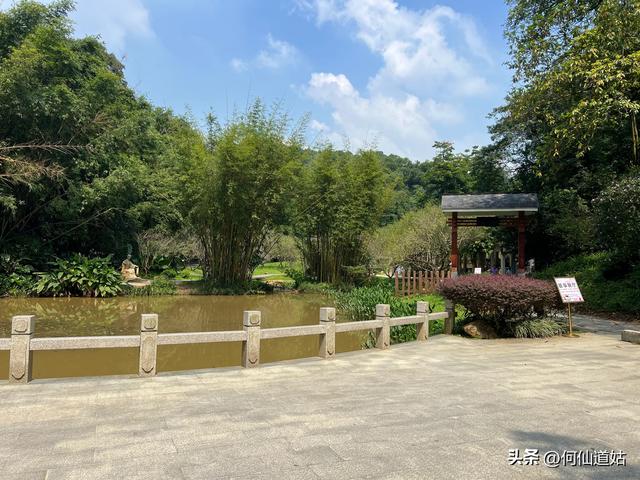节日里的白云山