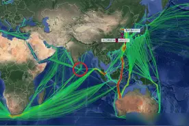 地中海航运公司航线突然改线！为何这么做？只因为蓝鲸仅剩50头图片