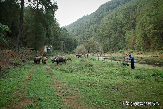 贵州人民吃这么好！！