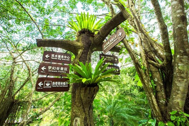 海南自贸港，以文化为核心赋能旅游业高质量发展