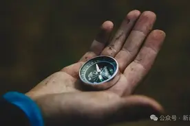 新乳业质量投诉惊人回升，席刚何时才能治愈收购后遗症？图片