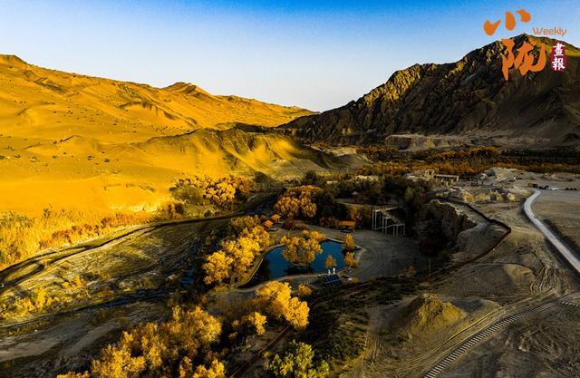 【小陇画报·427期】多坝沟胡杨峡 隐藏着大西北的极致秋色