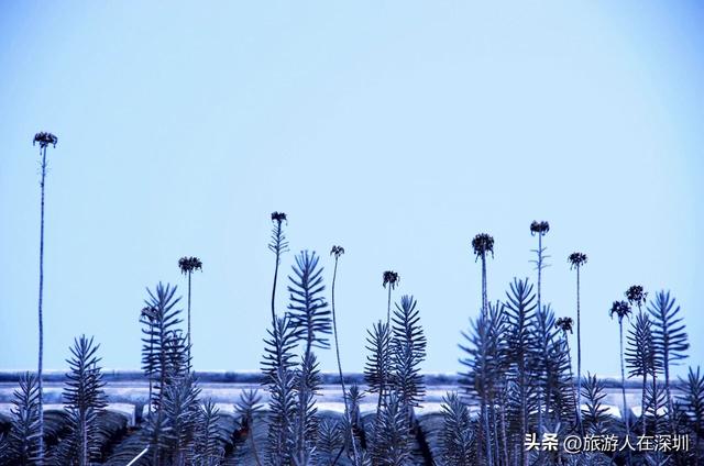 深圳大鹏古城，探秘 600 年历史赏沧桑古城墙，打卡 4 大亮点景观