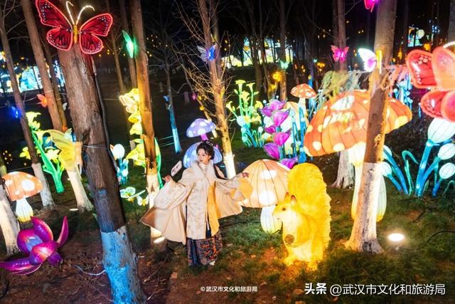 武汉最大发财树，三层楼高，明天亮！