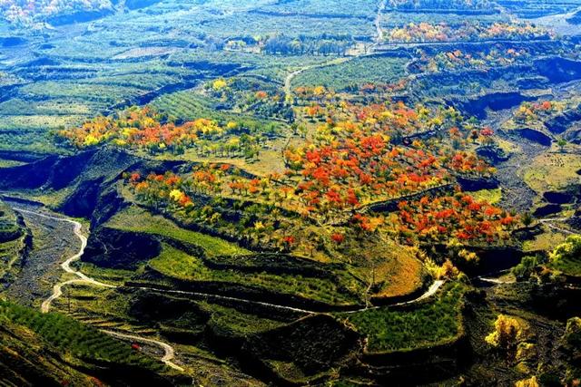 【白银文旅】冬已至秋渐远，再赏一波靖远的秋
