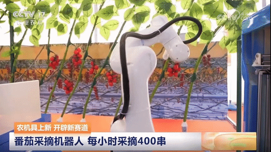 再登央视！珞石柔性协作机器人亮相CCTV1《2025中国·AI盛典》