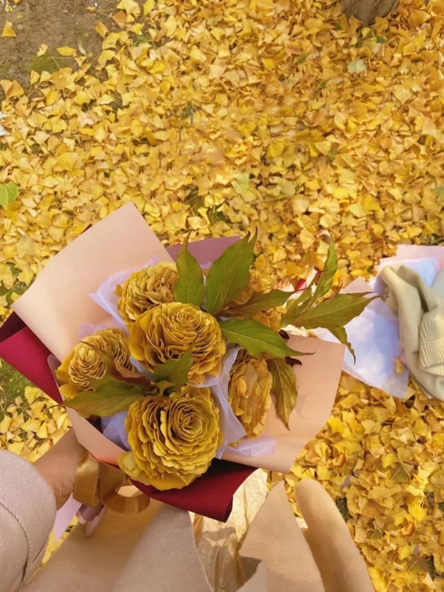 临沂初冬“热”出圈！打卡攻略赶紧码