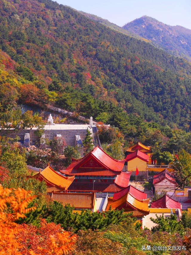 【乐游烟台】烟台红了，8大赏红叶打卡地，错过等一年