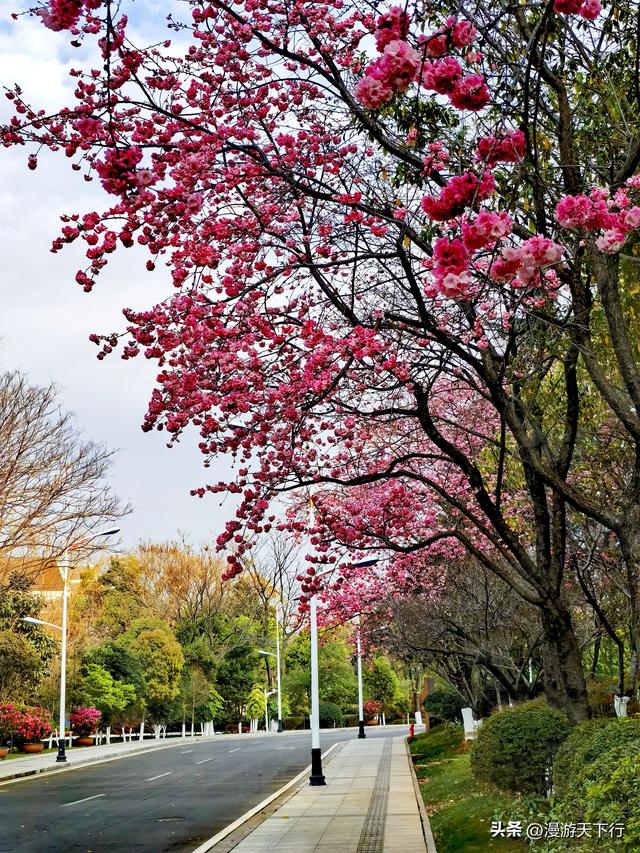 滇2026-17，摸着历史痕迹，离开西双版纳向北走，一路精彩纷呈