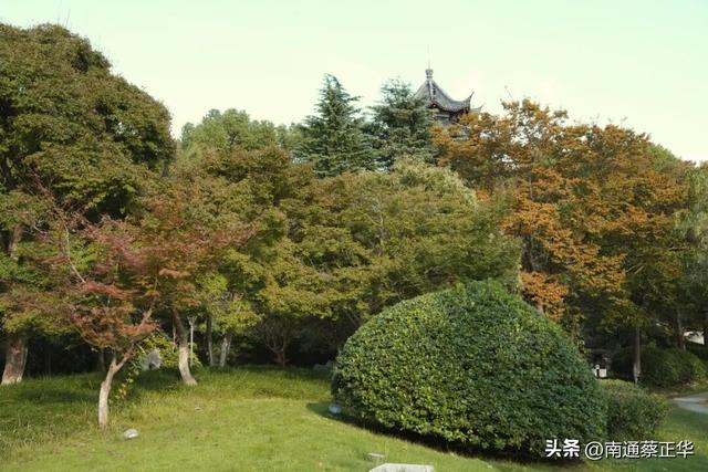 如东的秋天，都藏在这里了→