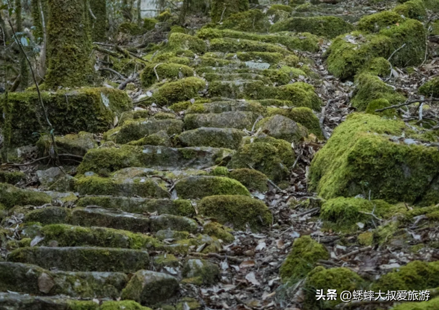 这个浙江“生态环境第一县”，真的太绝了，无商业化，为神仙秘境