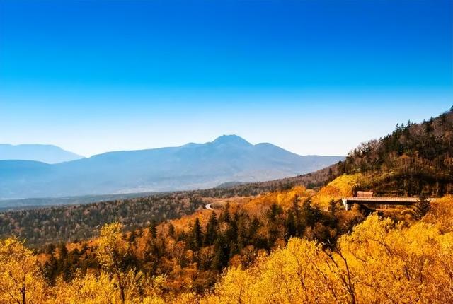 2025日本赏红叶攻略已出！附北海道、东北5大赏红叶景点~