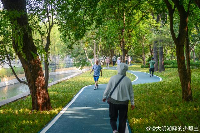 无论是跑步还是citywalk，济南这条绿道都是一绝！