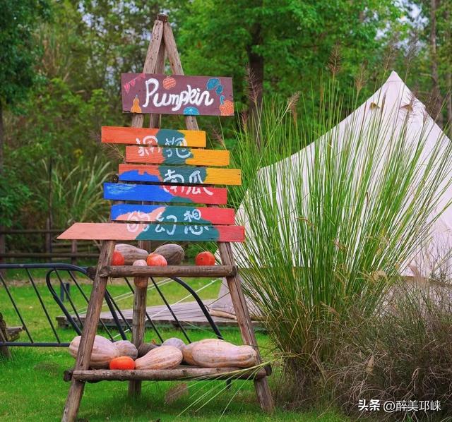 听劝！深秋一定要来邛崃这个“南瓜”露营地，太出片了！
