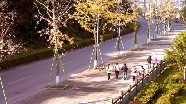 来达州宣汉，赴一场“黄金”盛宴