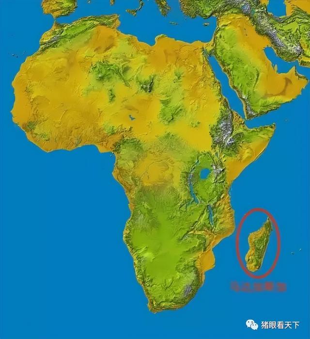 老爸眼里的神秘非洲