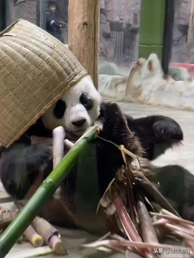 免免免！河南这些景区推出限时特惠活动→