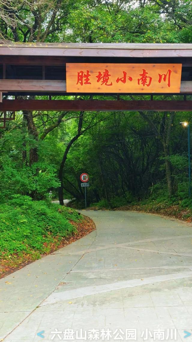 宁夏的“小甘南”+“独库公路”，这也太美啦
