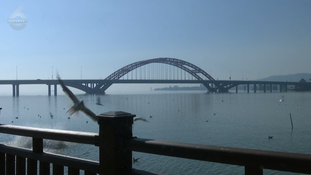 这个静谧小渔村，藏着彩虹桥、木栈道、老渔船、湖光鸥影……