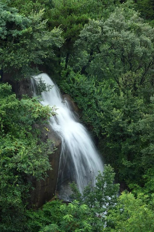 雨后泉水喷涌、飞瀑如练,淄博这些原生态山水秘境太美了!
