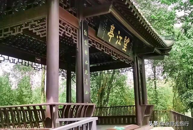 成都超级冷门公园，绿肺中的烟火成都，不要门票，1元公交直达！