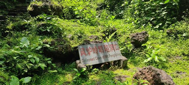 海口6天：落汤鸡、老爸茶和热带风，记录一段临时出发的旅程