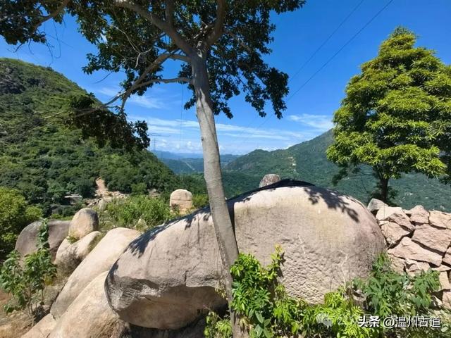 温州这处以奇岩异石著称的免费景区值得你来探秘